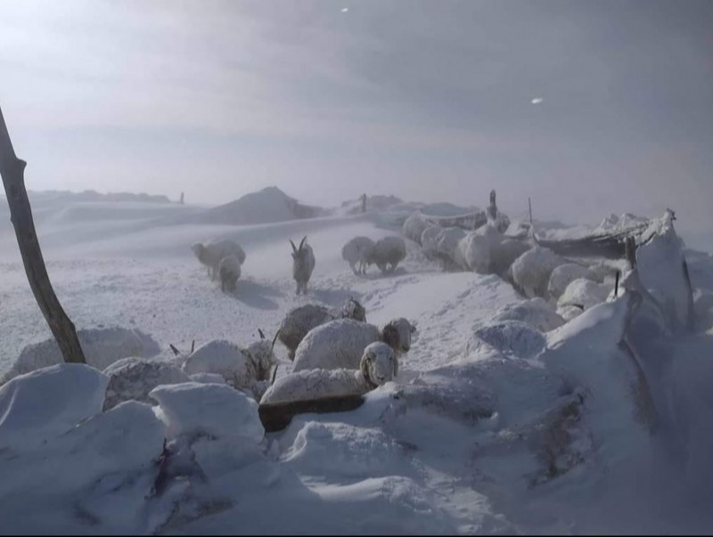 Зудын урьдчилсан төлөвийг тооцоолон гаргалаа